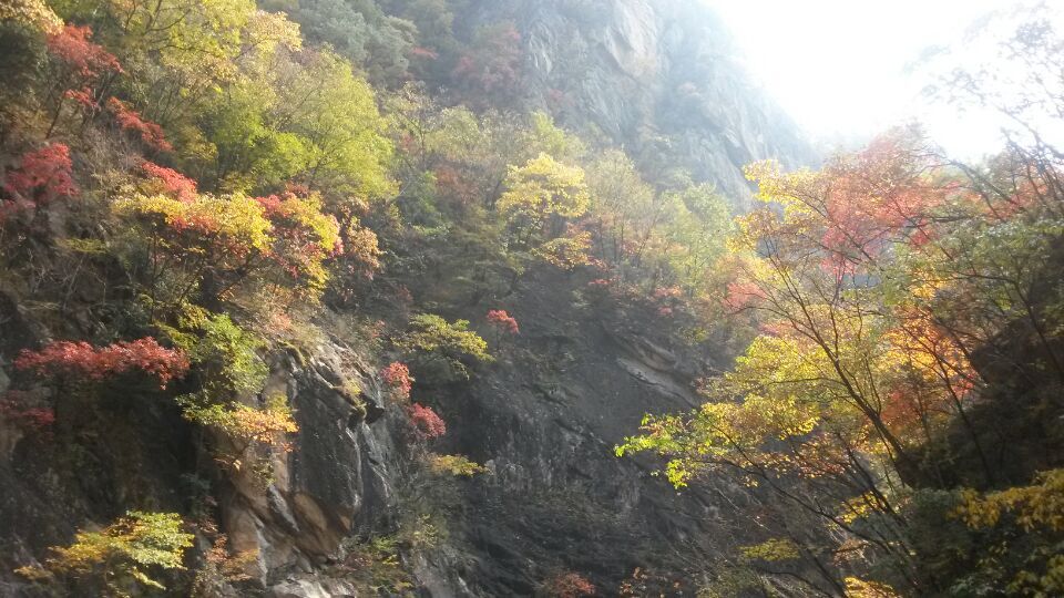 重阳节8.jpg