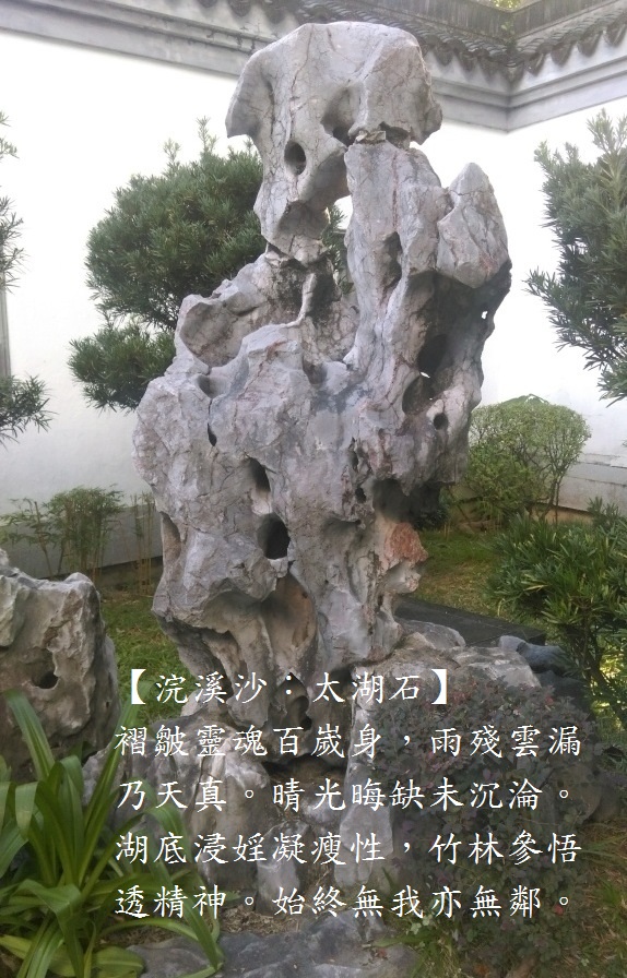 太湖石.jpg