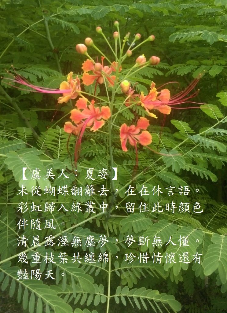 夏姿.jpg