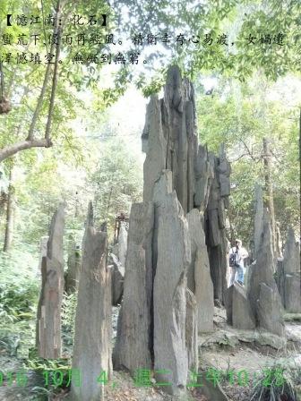 化石1.jpg