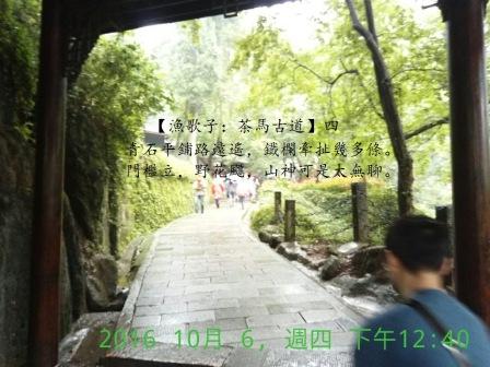 茶馬古道4a.jpg