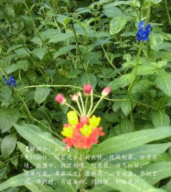 相鄰1.jpg