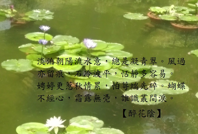 蓮池.jpg