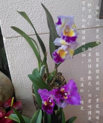 晴光.jpg