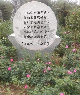 月季園.jpg