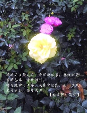 相伴1.jpg