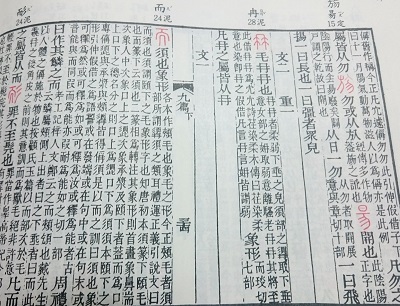 蘇建洲：漢字分析不是看圖說話！「冉」是個王八嗎？.jpg