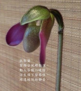垂詢1.jpg