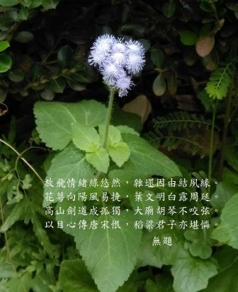 文藍1.jpg