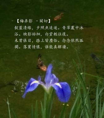 關切1.jpg