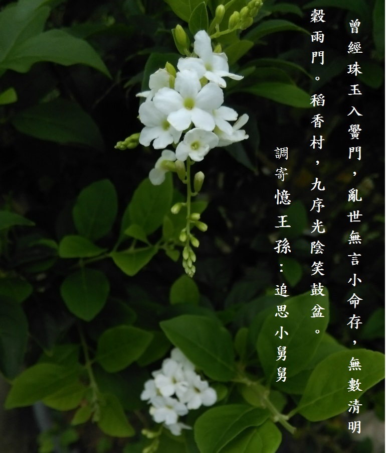 不舍.jpg