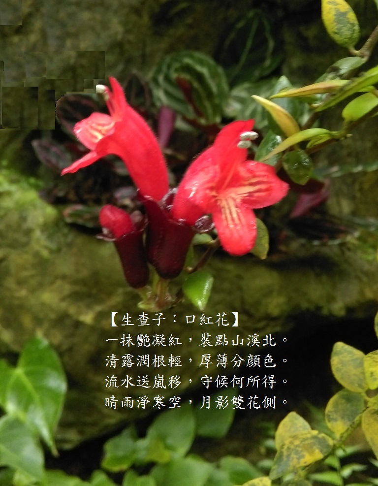 口紅.jpg