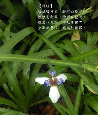 轉晴1.jpg