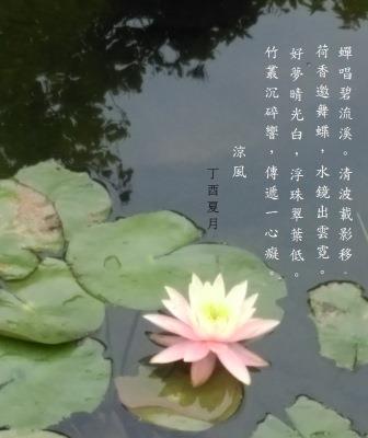 夢境.jpg