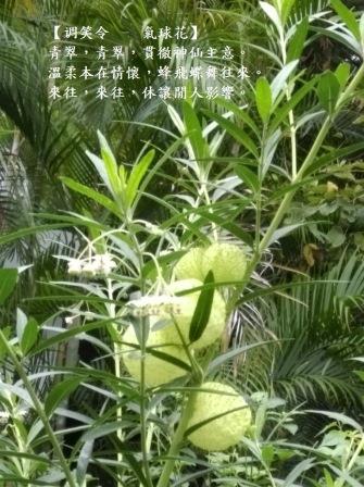 氣球1.jpg