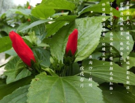 鮮明1.jpg