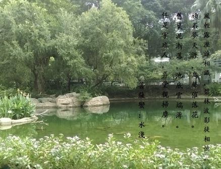 水淺1.jpg