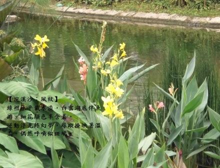 風紋1.jpg