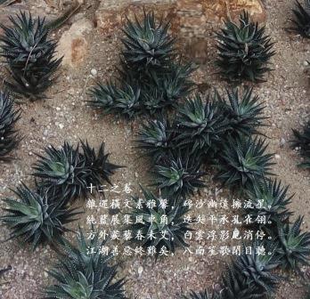 十二之卷1.jpg