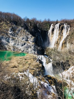 250353C7-C450-4220-B13D-404B30F06FA6.jpeg