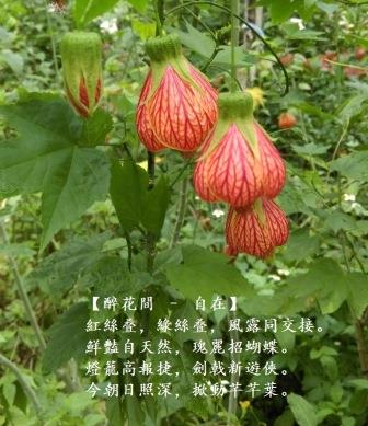 自在1.jpg