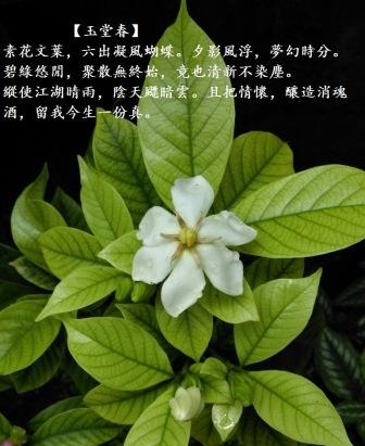 玉堂春1.jpg