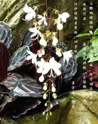 懸崖0.jpg