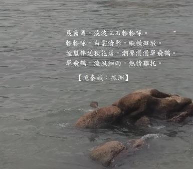 孤洲1.jpg