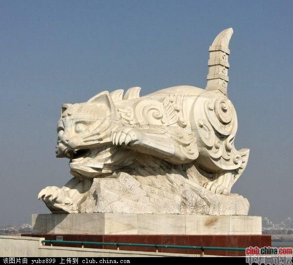 八一白.jpg