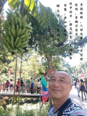 香蕉1.jpg