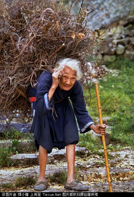 Grandma .jpg