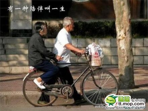 20140507094529471.jpg